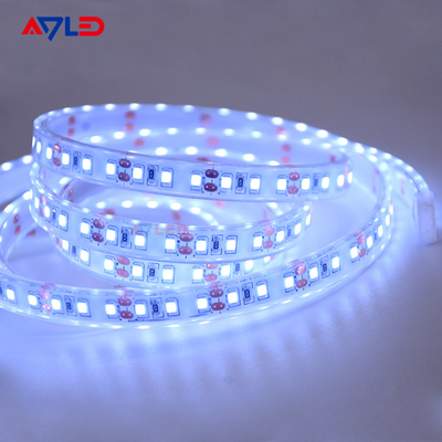 120 LED/m Światło boczne LED Pas ADS-D2835-120W-24