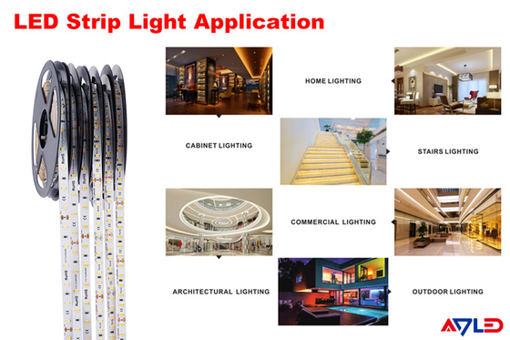 Jasne rodzaje pasków LED Outdoor 120 Led Light Strips Wodoodporne niskie napięcie do pokoju