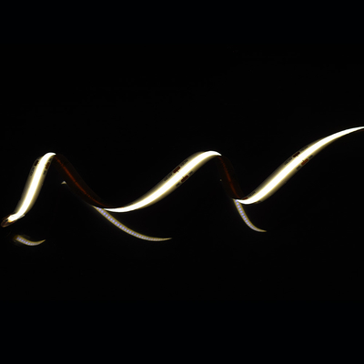 Panel aluminiowy bez kropek COB LED Strip z 528 diodami na taśmie 10 mm i 2700K/6500K kolor